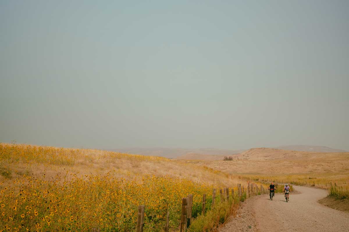 Golden Gravel